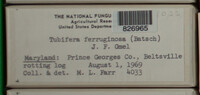 Image Associated With the Occurence